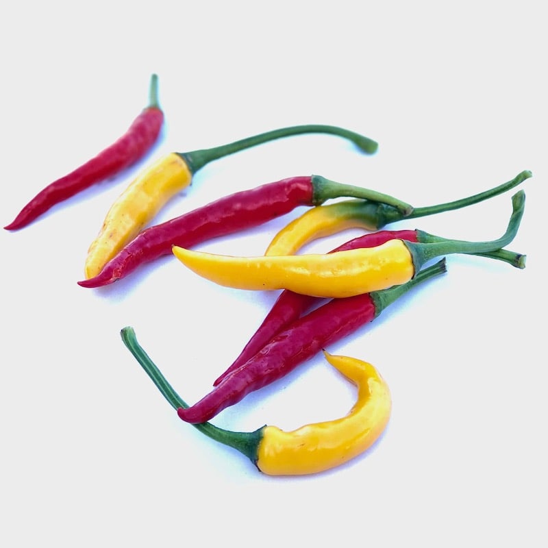 Das Bild zeigt 2 Sorten frische Chili im Schärfegrad 8 zum Kaufen