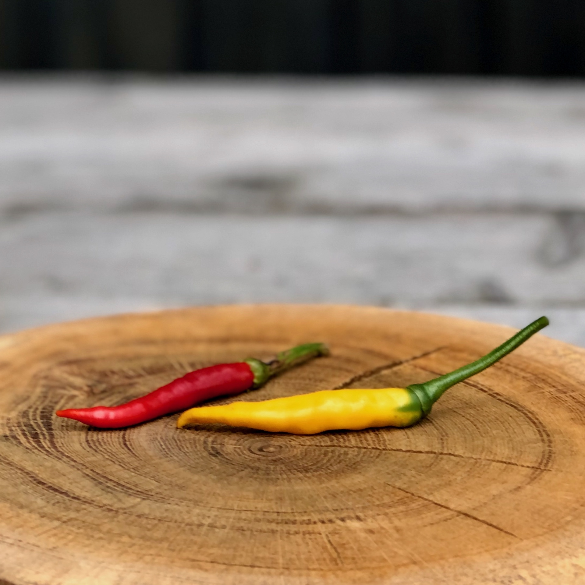 Frische Chili Schärfegrad 8 kaufen Eine rote und eine gelbe frische Chili im Schärfegrad 8 auf einer Holzscheibe liegend