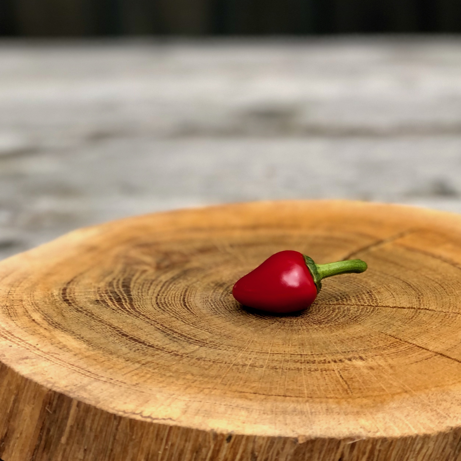 Frische Chili Schärfegrad 6 kaufen rote Chili mit dem Schärfegrad 6 auf einer Holzscheibe liegend