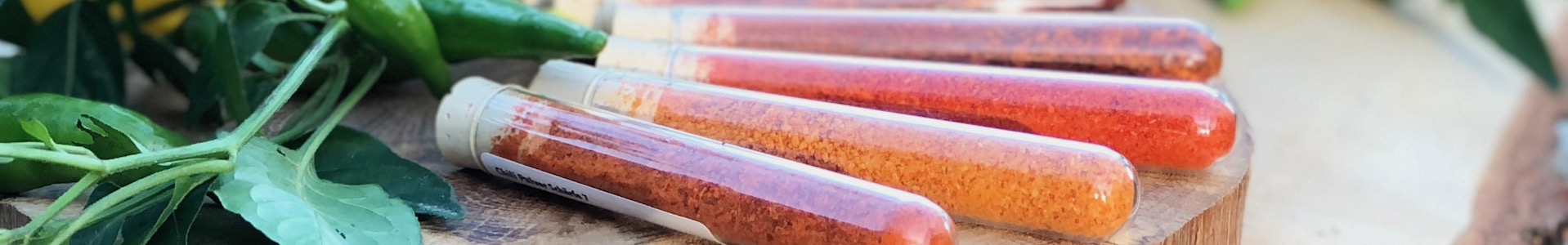 Chili Pulver kaufen Das Bild zeigt 6 Glasröhrchen mit Chili Pulver auf einer Holzscheibe liegend mit Chilipflanze im Hintergrund. Die Röhrchen sind als Probiergröße zum Kaufen