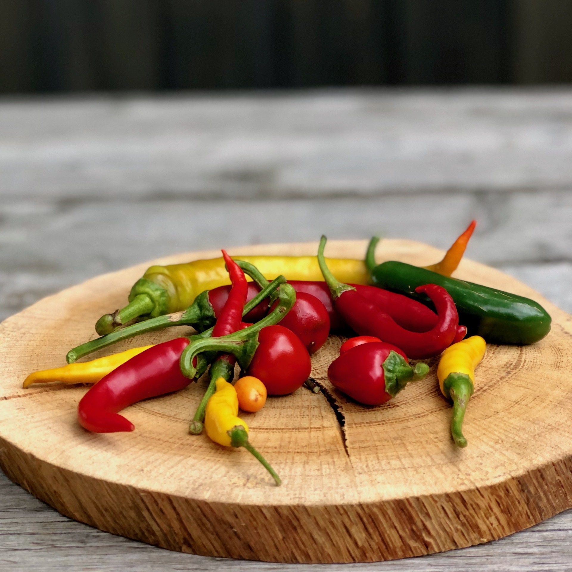 Frische Chili aus mehreren Sorten gemischt kaufen Mehrere frische Chili in unterschiedlichen Formen, Farben und Schärfegragen auf einer Holzscheibe liegend